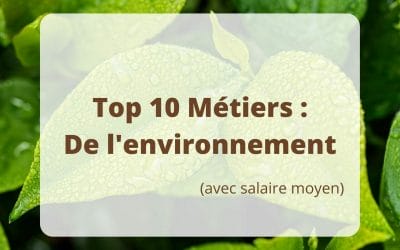 Top 10 des Métiers de l’environnement pour travailler dans l’écologie (avec salaire moyen)
