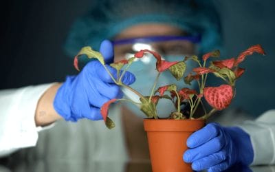 Top 10 des métiers les plus prometteurs dans le secteur de la biotechnologie